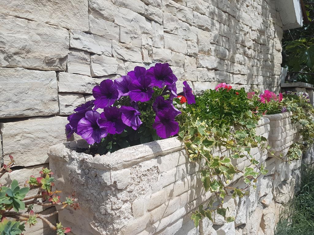 Apartment Adis Szybenik Zewnętrze zdjęcie